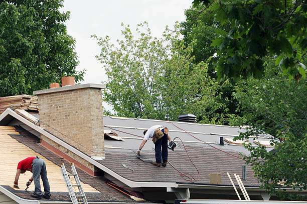 Best Storm Damage Roof Repair  in Cherry Grove, OH